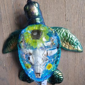 Giant Light-up Skull Turtle